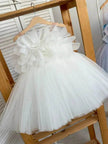 Flower Girl Princess Ball gown for kids