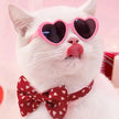 Heart-Shaped Pet Sunglasses – Cute Cat & Dog Costume Accessory