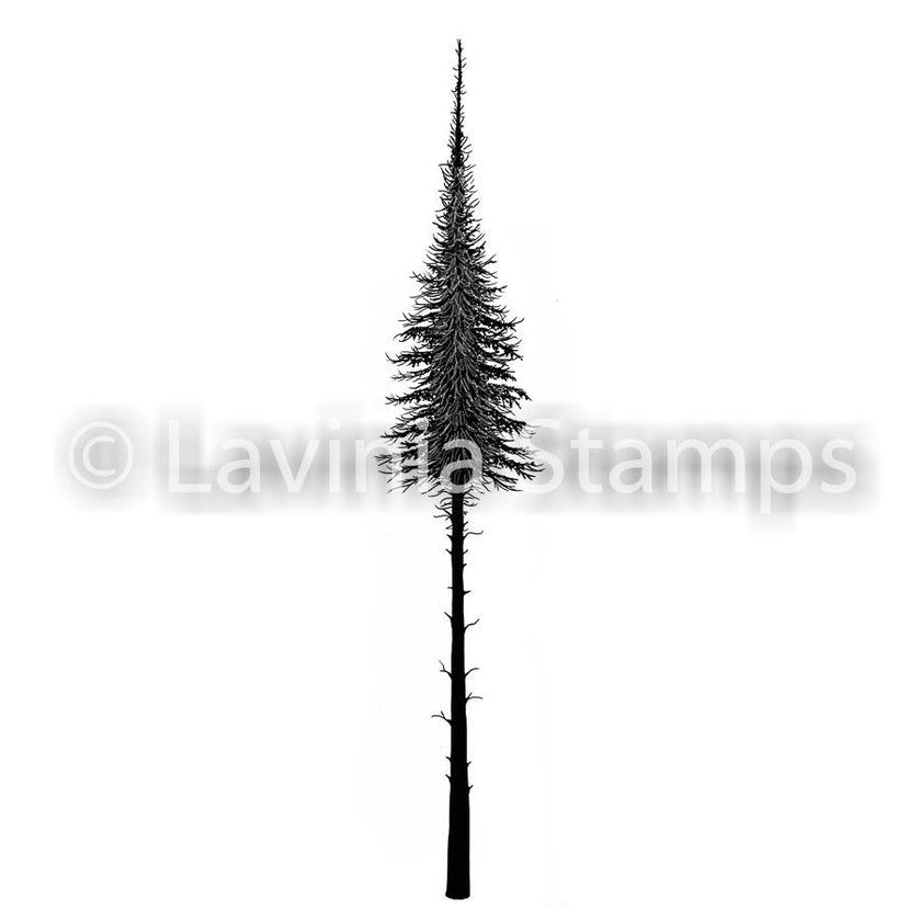 Lavinia Stamps - Fairy Fir Tree