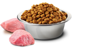 Farmina - Pumpkin Lamb & Blueberry Medium & Maxi Puppy Dry Dog Food