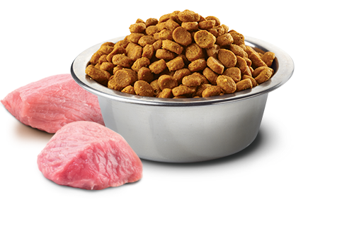Farmina - Pumpkin Lamb & Blueberry Medium & Maxi Puppy Dry Dog Food