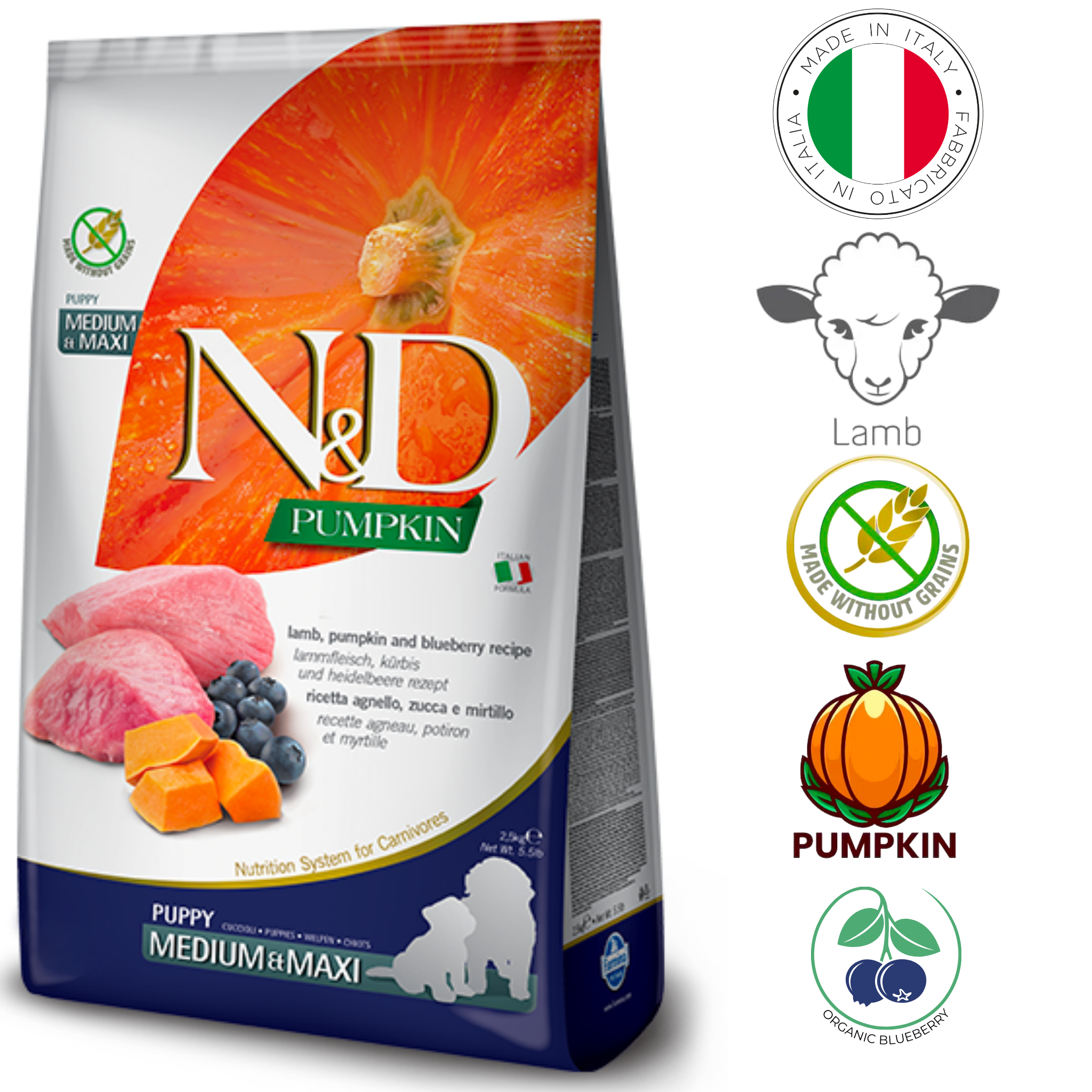 Farmina - Pumpkin Lamb & Blueberry Medium & Maxi Puppy Dry Dog Food