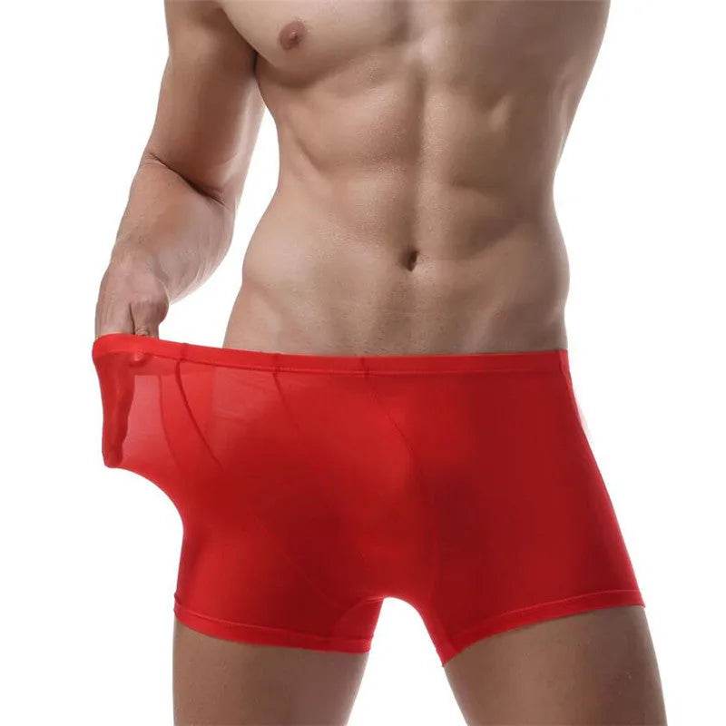 Ice Silk Transparent Elastic Boxer briefs Pant underwear for men