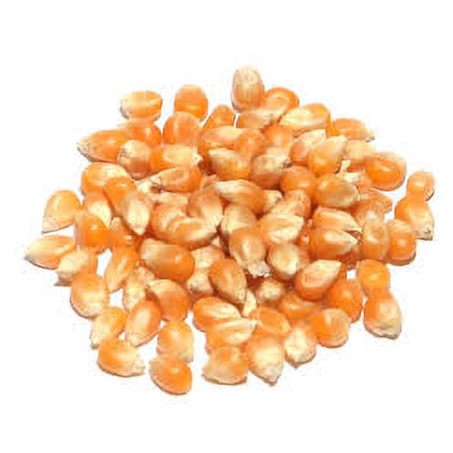 Grains de maïs soufflé crus jaunes en vrac (6lbs, 12lbs, 18lbs, 24lbs)