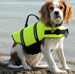 Pet swimwear cute dog life jacket dog swimwear big middle dog safety coat