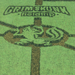 Grimskunk / Fieldtrip - LP BLACK WITH SLIPMAT