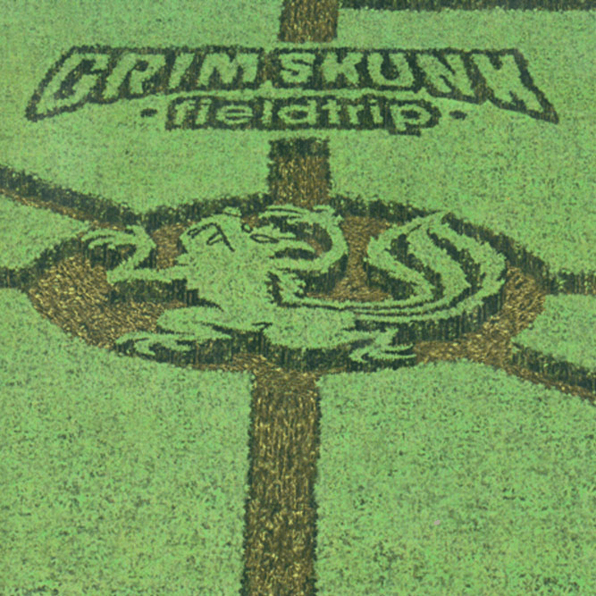 Grimskunk / Fieldtrip - LP BLACK WITH SLIPMAT