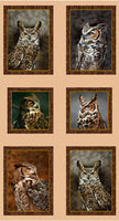 Nocturnal Wonders #2