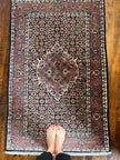 Fine Bidjar Rug | 4' 3