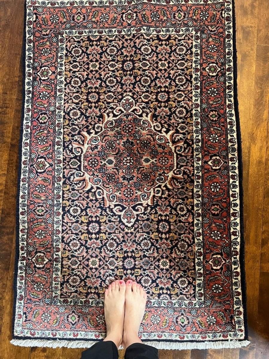 Fine Bidjar Rug | 4' 3
