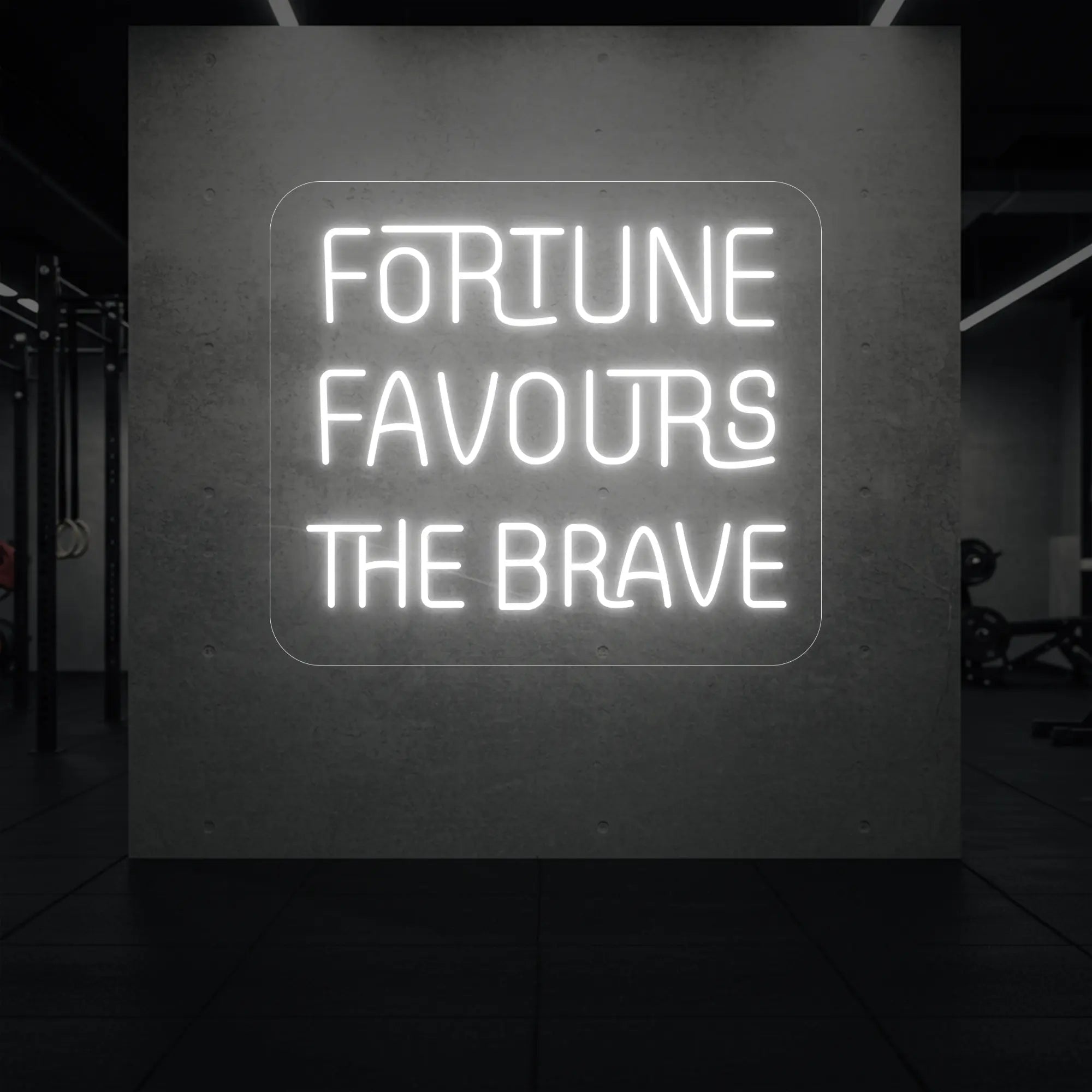 FORTUNE FAVOURS THE BRAVE Neon Sign