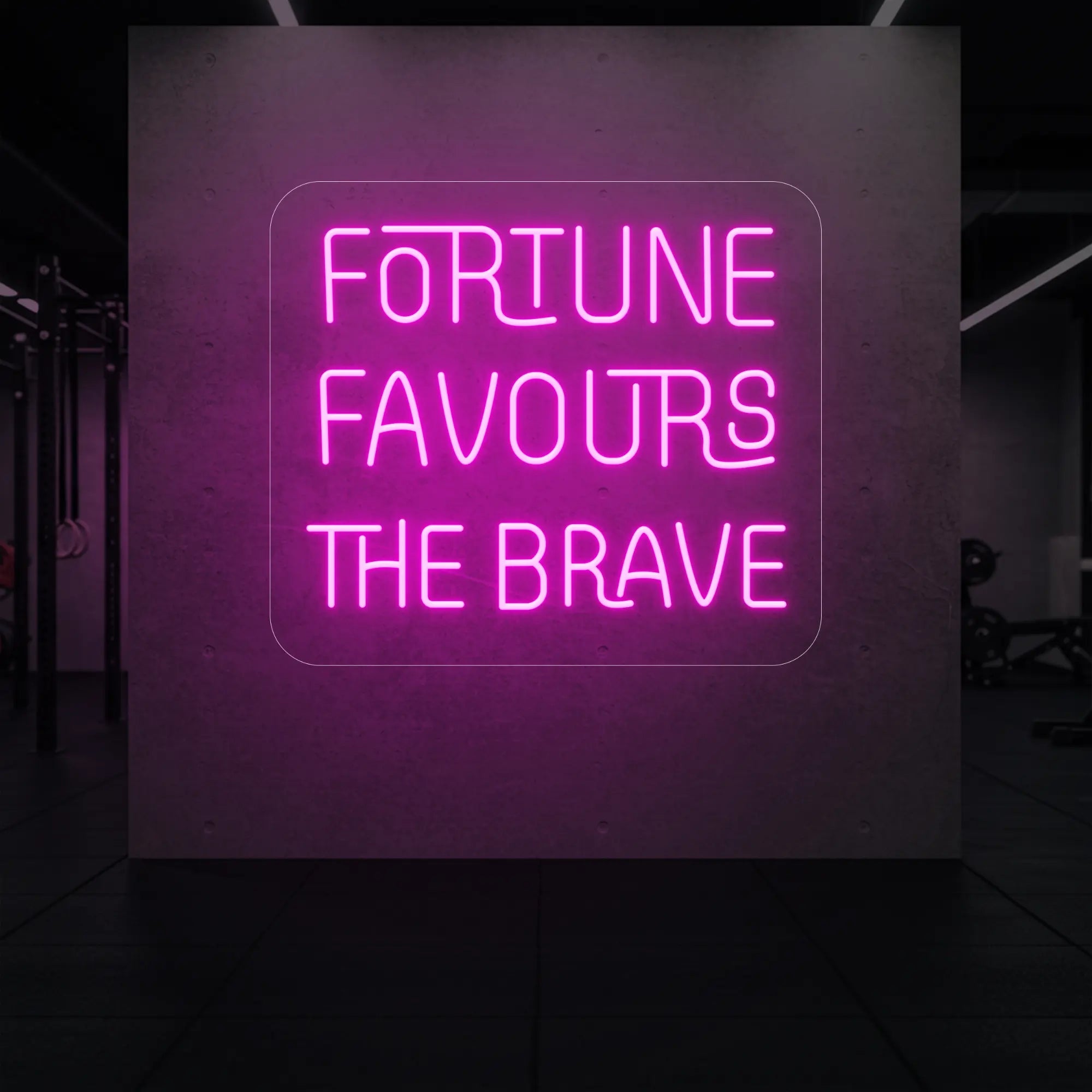 FORTUNE FAVOURS THE BRAVE Neon Sign