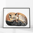 Fox sleeping - curled into a ball -  Colored  animal art print
