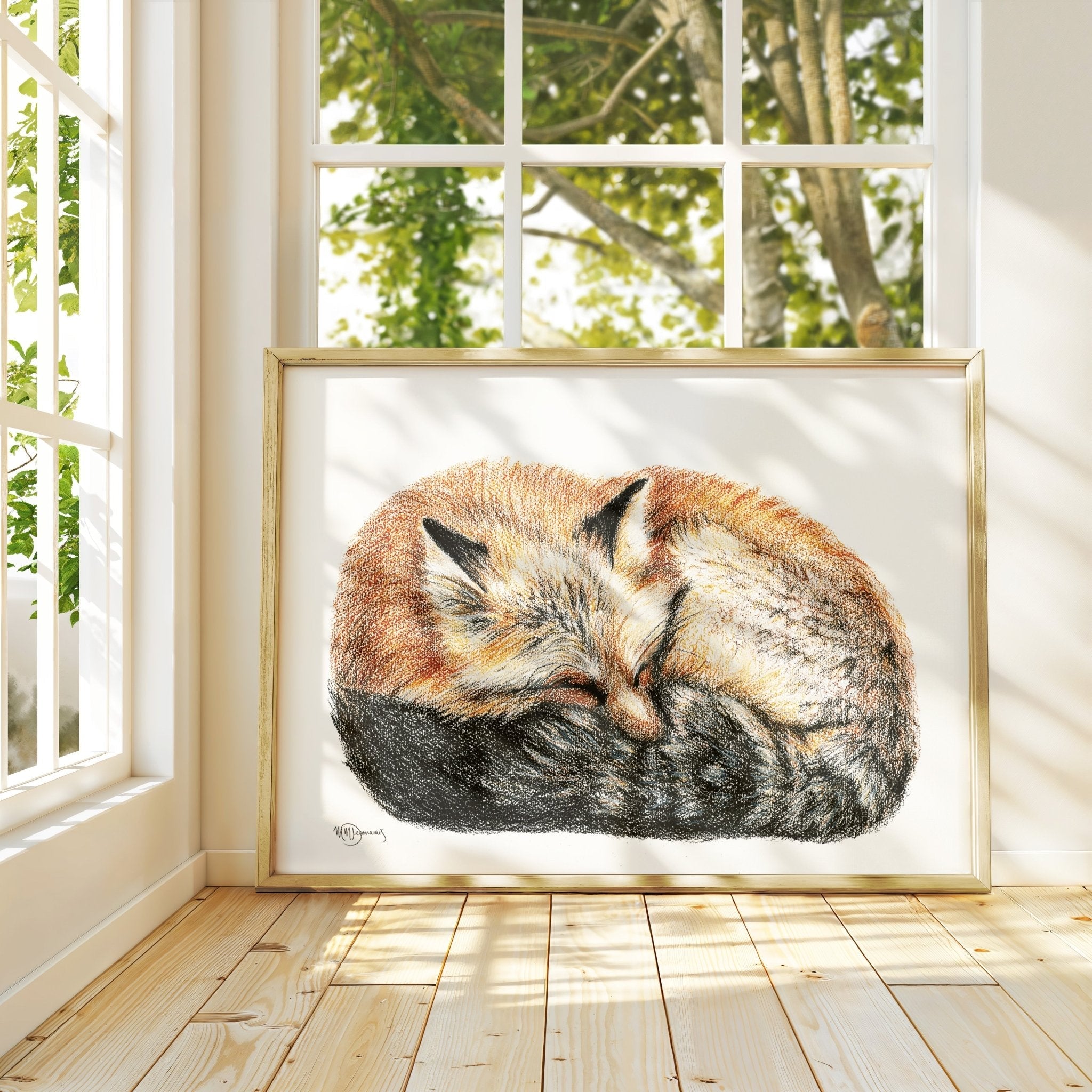 Fox sleeping - curled into a ball -  Colored  animal art print