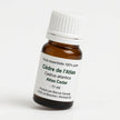 Cèdre de l'Atlas