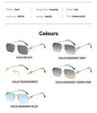 Frameless Trimming Leopard Head Sunglasses