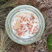 Freedom Spell Candle