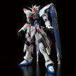 Bandai Gundam Base Exclusive RG 1/144 Freedom Gundam Ver GCP