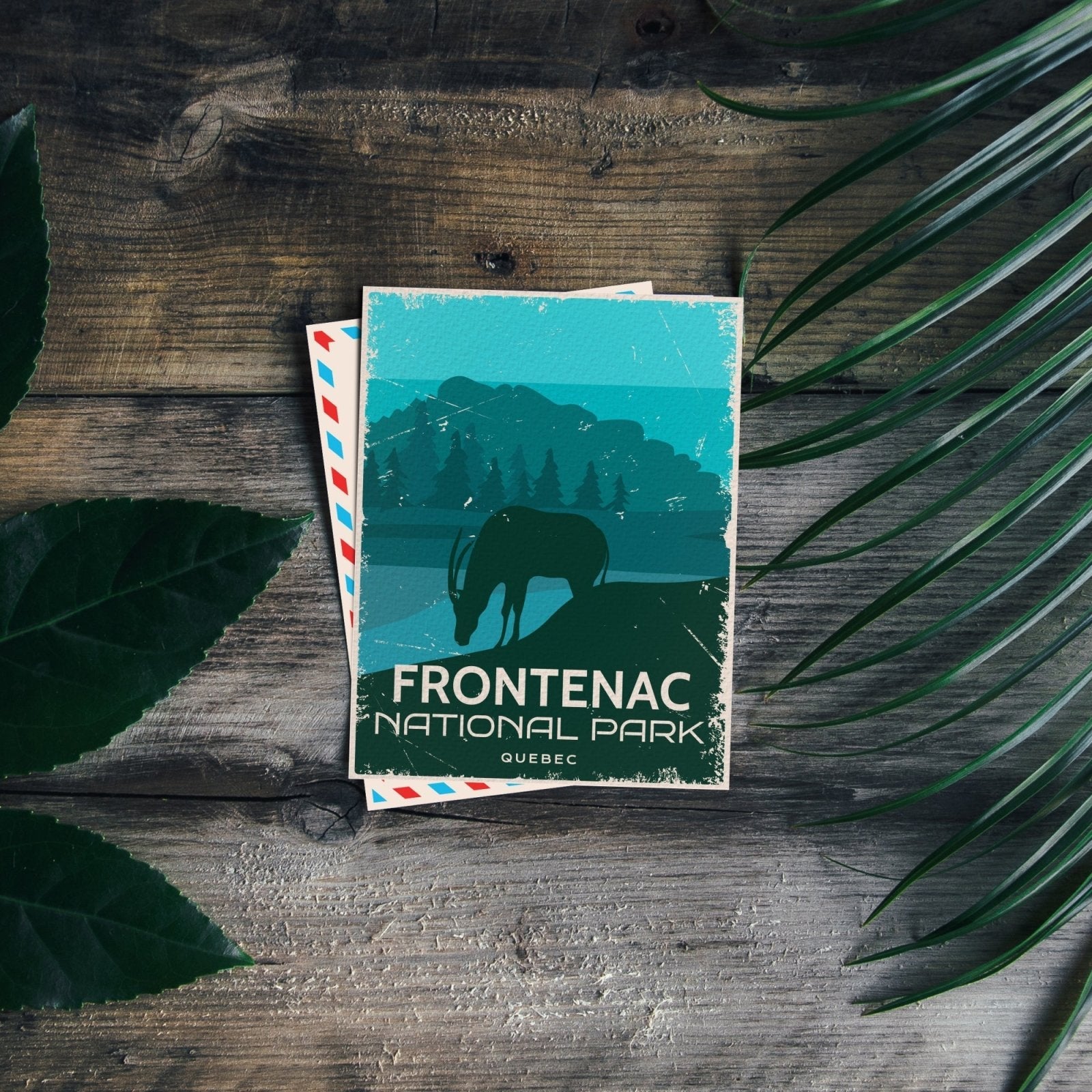 Frontenac Quebec National Park Postcard, Canada Parks