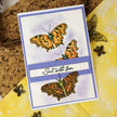 For The Love Of Stamps - Layering Comma Butterfly