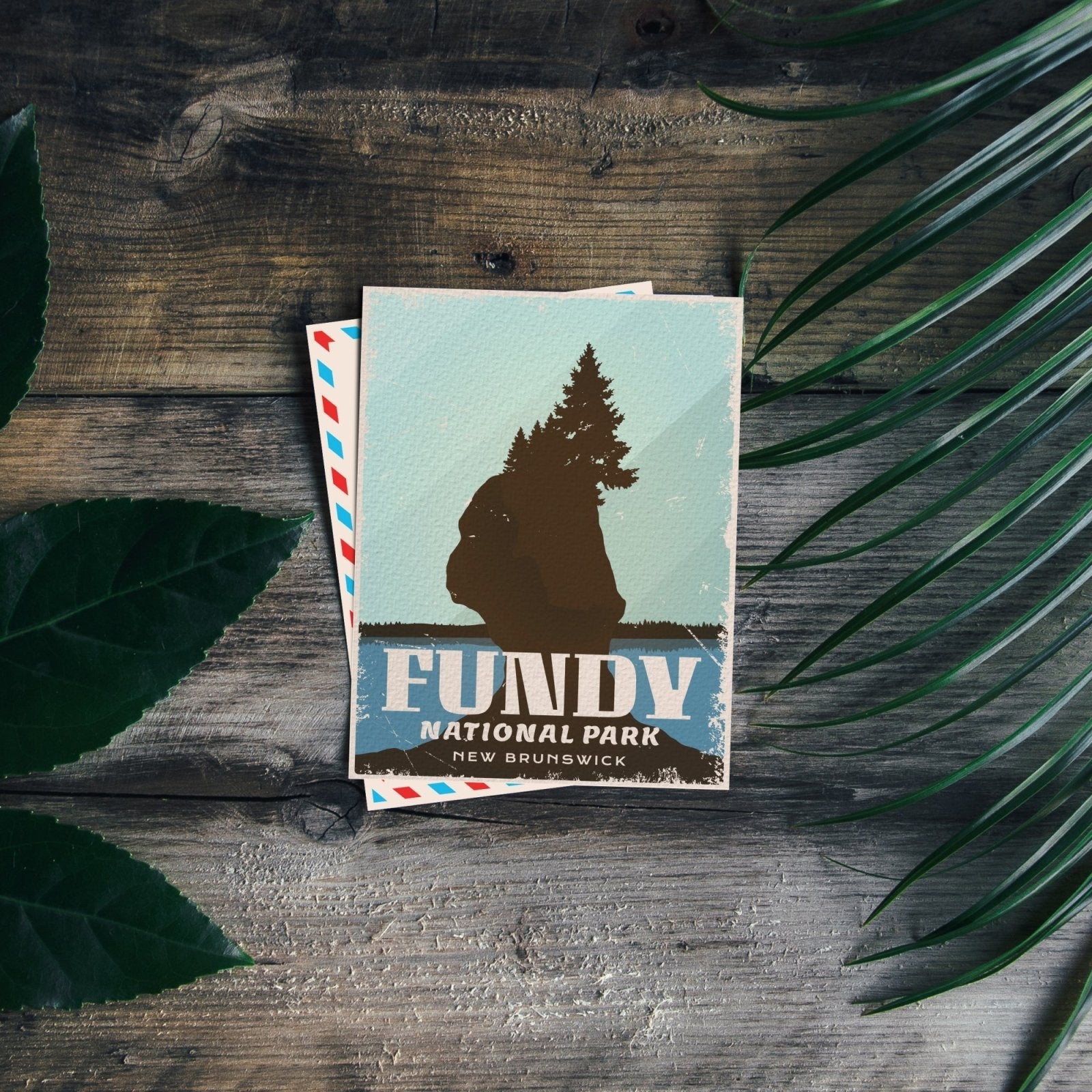 Fundy National Park of Canada Postcard, Canada Parks