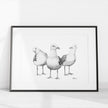 Funny Seagulls  - black and white animal art