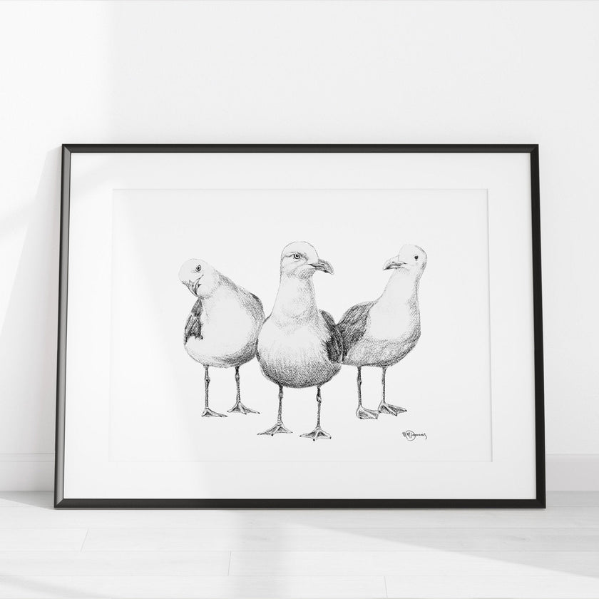 Funny Seagulls  - black and white animal art