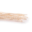 FUSILLI LUNGHI