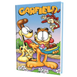 Garfield - •© Paws, Inc.