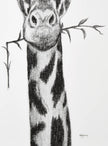 Giraffe Portrait - black and white safari art print