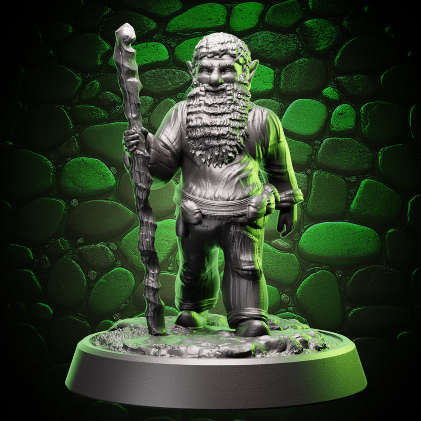 Gnome Druid | Staff  | 5e