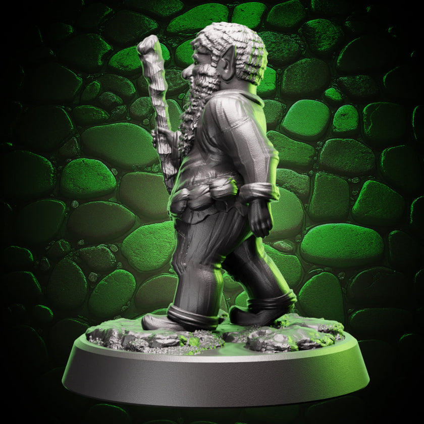 Gnome Druid | Staff  | 5e
