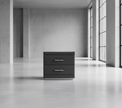 GNS550 Two-Drawer Bedside Table