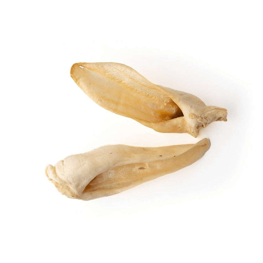 Goat Ear