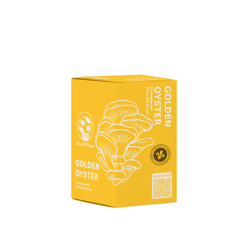 Golden Oyster Mushroom Kit
