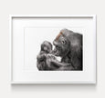 Baby Gorilla and Mom Art Print