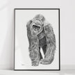 Gorilla illustration - wildlife animal print - collaboration with La Fondation du Zoo de Granby