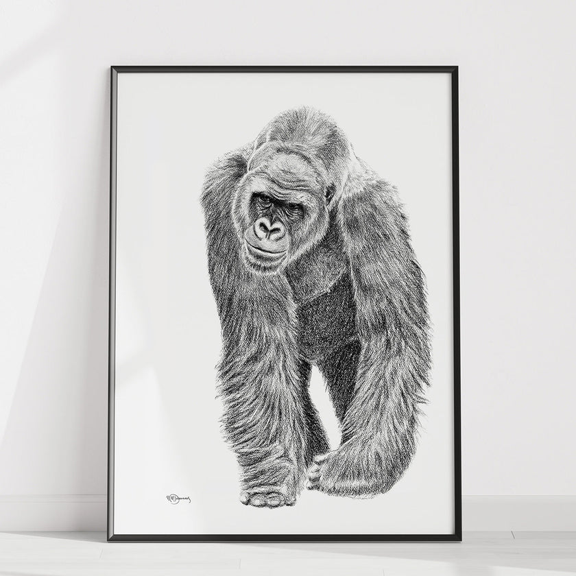 Gorilla illustration - wildlife animal print - collaboration with La Fondation du Zoo de Granby