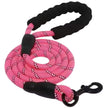 Reflective Dog Leash for Night Walks