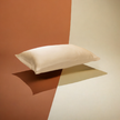 Silk Pillowcase Champagne (Envelope Style)