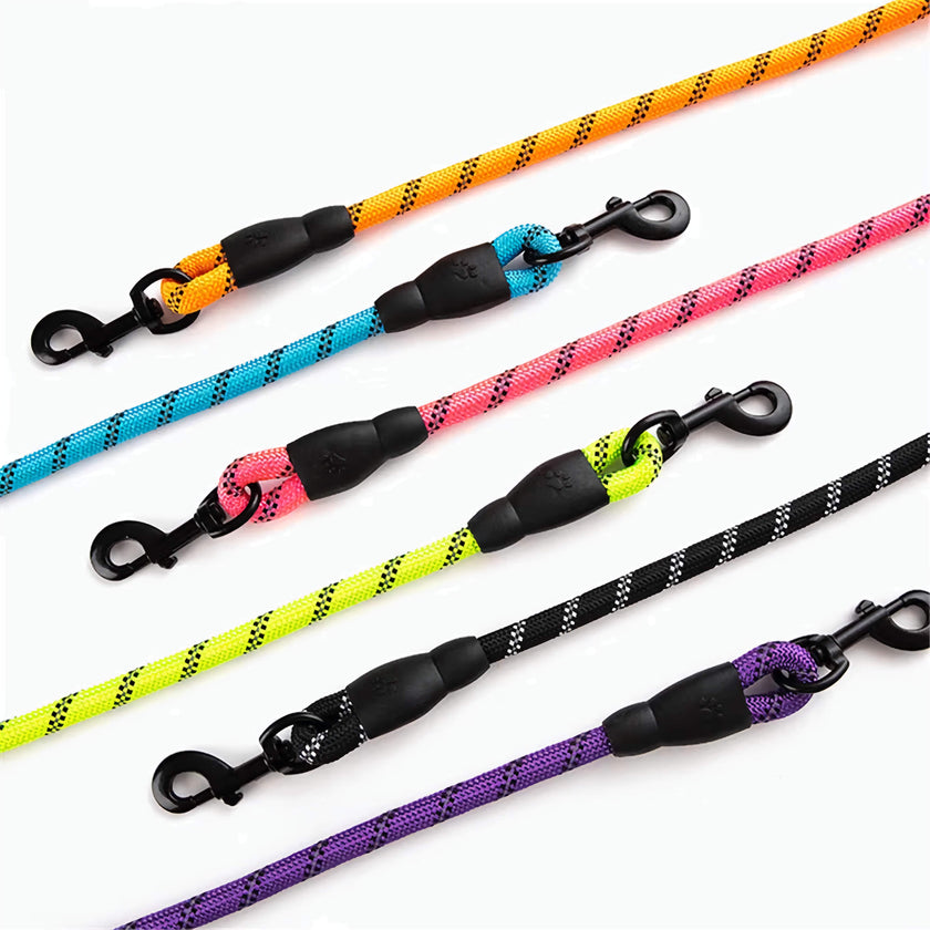 Reflective Dog Leash for Night Walks