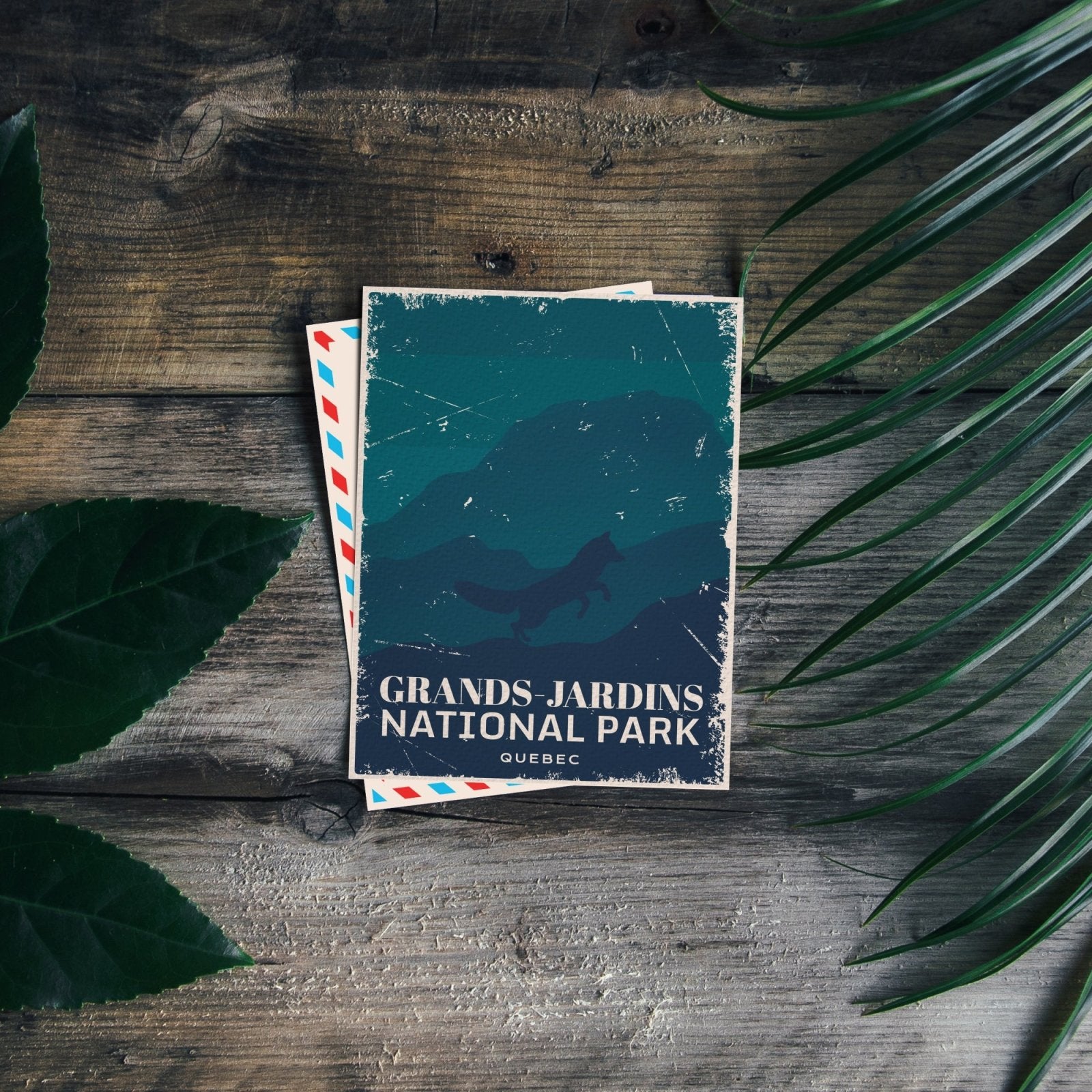 Grands-Jardins Quebec National Park Postcard, Canada Parks