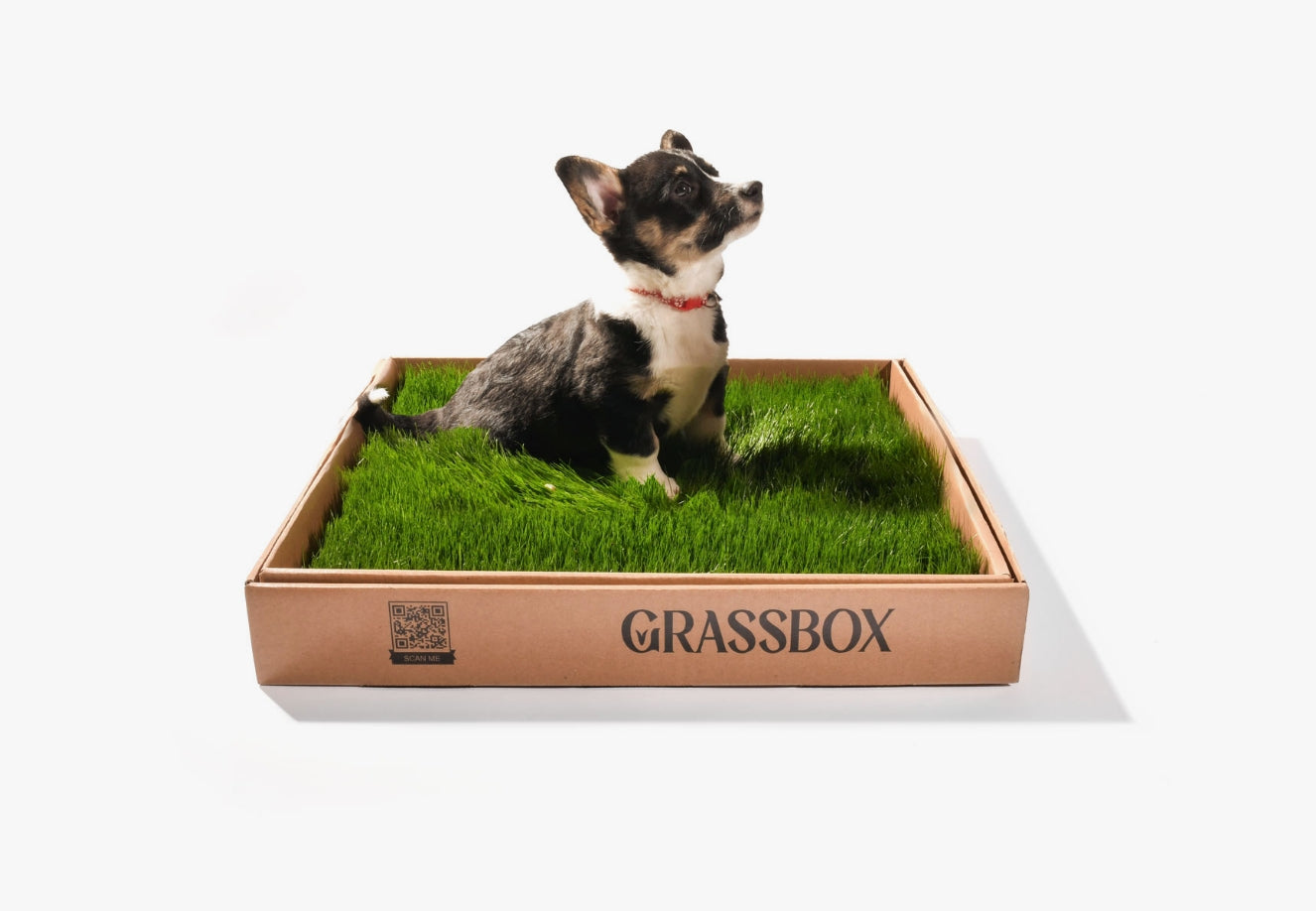 GrassBox