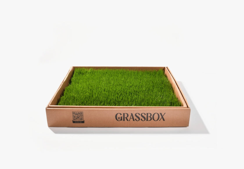 GrassBox