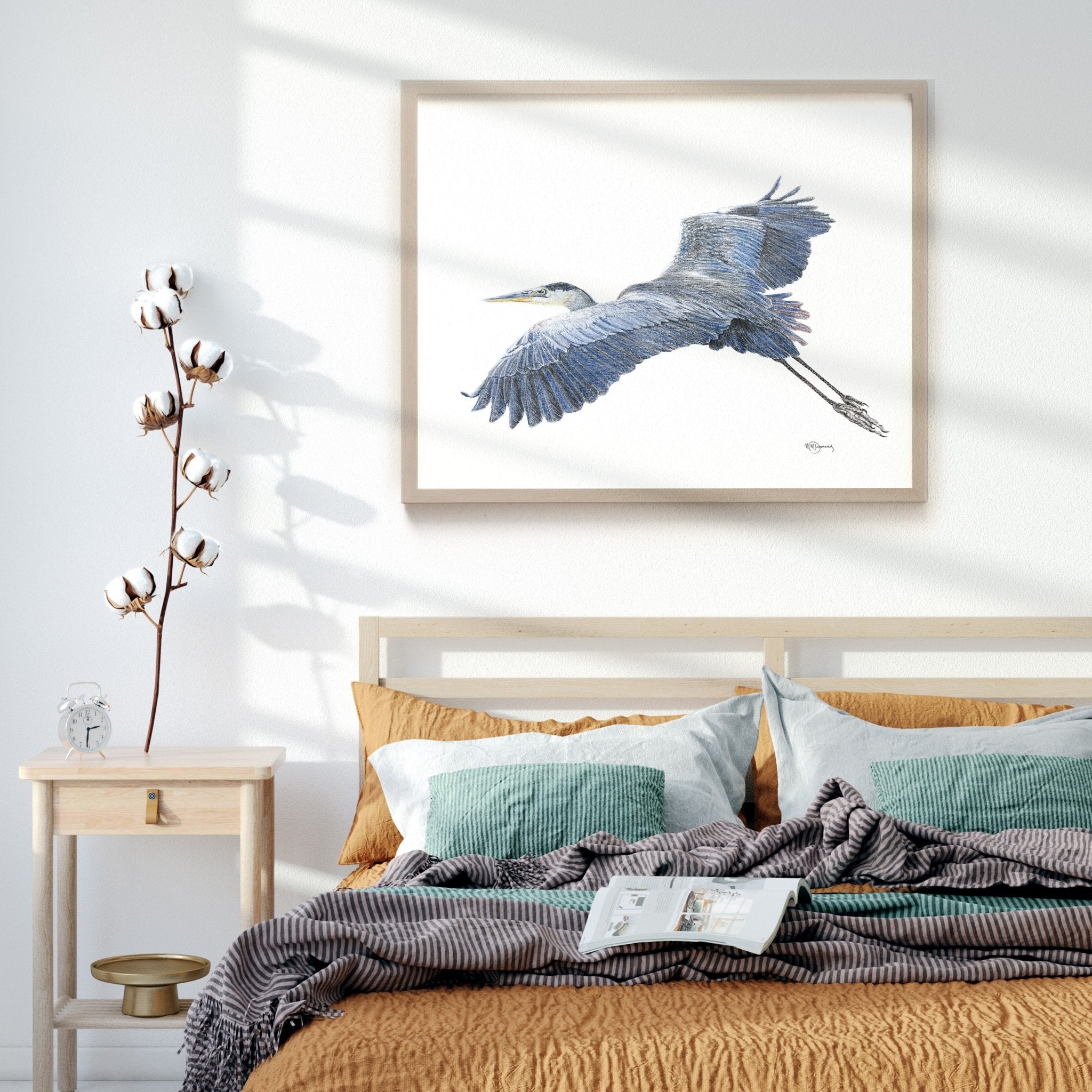 Great Blue Heron - Colored art print