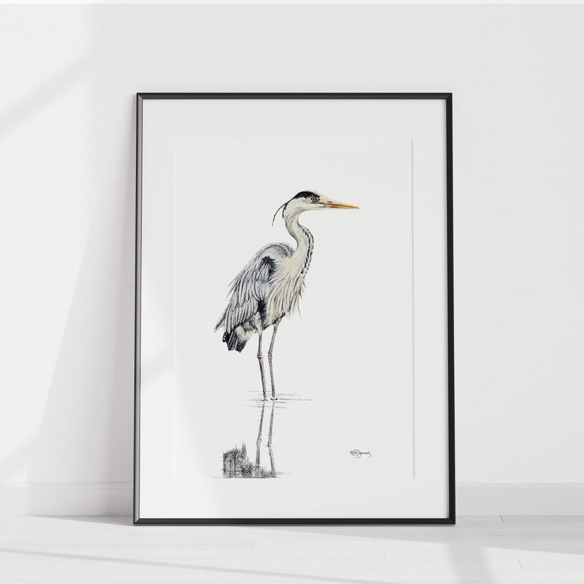 Heron NO 1 - Colored Blue Heron in water - art print
