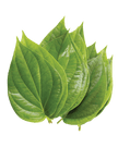 Paan leaf (Bettle Leaf) 10Pcs