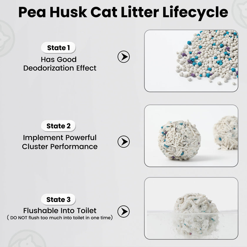 Green Tea Tofu Cat Litter Canada