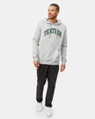 Tentree Arch Hoodie