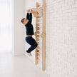 Gym Addition to the Climbing Ladders
